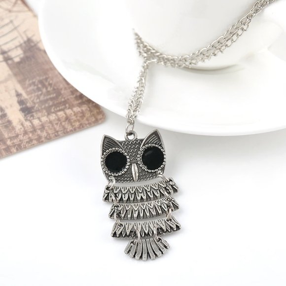 Silver Detail Owl Chain Pendant Necklace - Picture 6 of 6